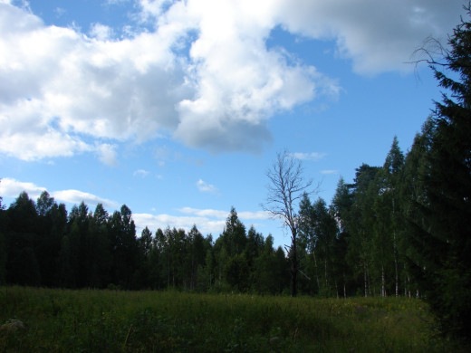 26969 (a): :1024x768